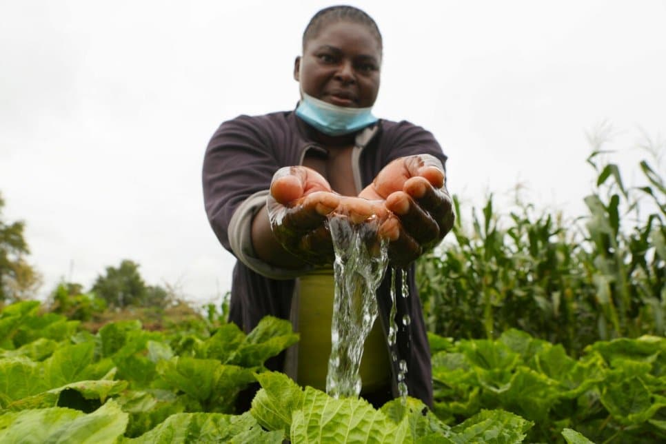 Un meilleur accès à l’eau améliore la vie des réfugiés et de leurs hôtes dans un camp au Zimbabwe