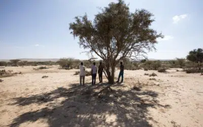 Le HCR lance une mise en garde sur des lacunes critiques en matière de protection des personnes en déplacement au Sahel et en Afrique de l’Est