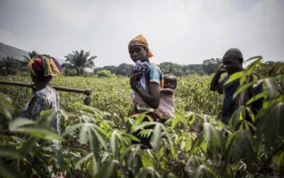 Commentaire d’actualité : Le HCR soutient l’appel à une action mondiale pour résoudre le problème des déplacements internes