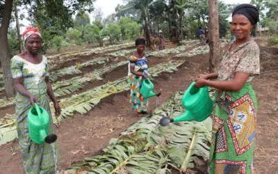 Journée mondiale de l’alimentation : Célébrer les efforts visant à renforcer les systèmes alimentaires locaux pour les personnes déplacées et les communautés d’accueil