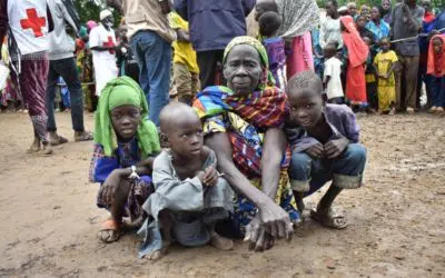 UNHCR seeks US$59.6 million for 100,000 displaced by violence in Cameroon’s Far North region