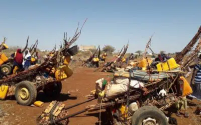 UNHCR ramps up aid to thousands displaced by Somalia drought