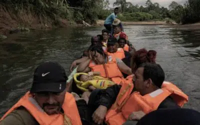 Refugees and migrants brave jungle wilderness in search of safety