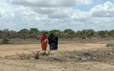 Un million de personnes déplacées par la sécheresse en Somalie