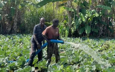 Les réfugiés burundais cultivent leurs liens avec leurs hôtes congolais grâce à l’agriculture