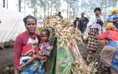 UNHCR concerned by conflict’s toll on hundreds of thousands displaced in eastern DR Congo