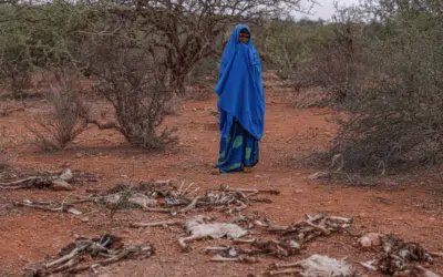 Drought brings life-threatening food shortages for refugees in Ethiopia