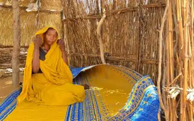 Des réfugiés soudanais fuyant le Darfour trouvent refuge au Tchad