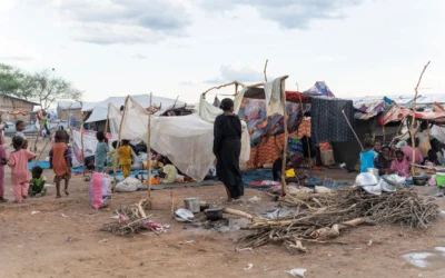 New UNHCR household survey unveils alarming suffering for refugees and hosts in South Sudan