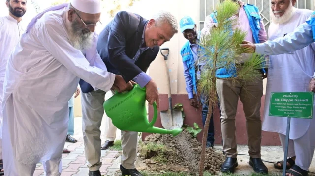 A group of people are standing around a small plot of grass. Two of them are watering a small tree.