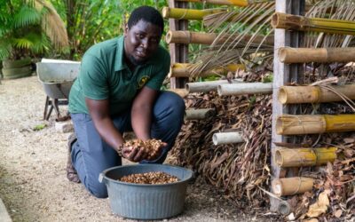 “Refugees for Climate Action” network launched at COP29 to champion displaced communities fighting climate change