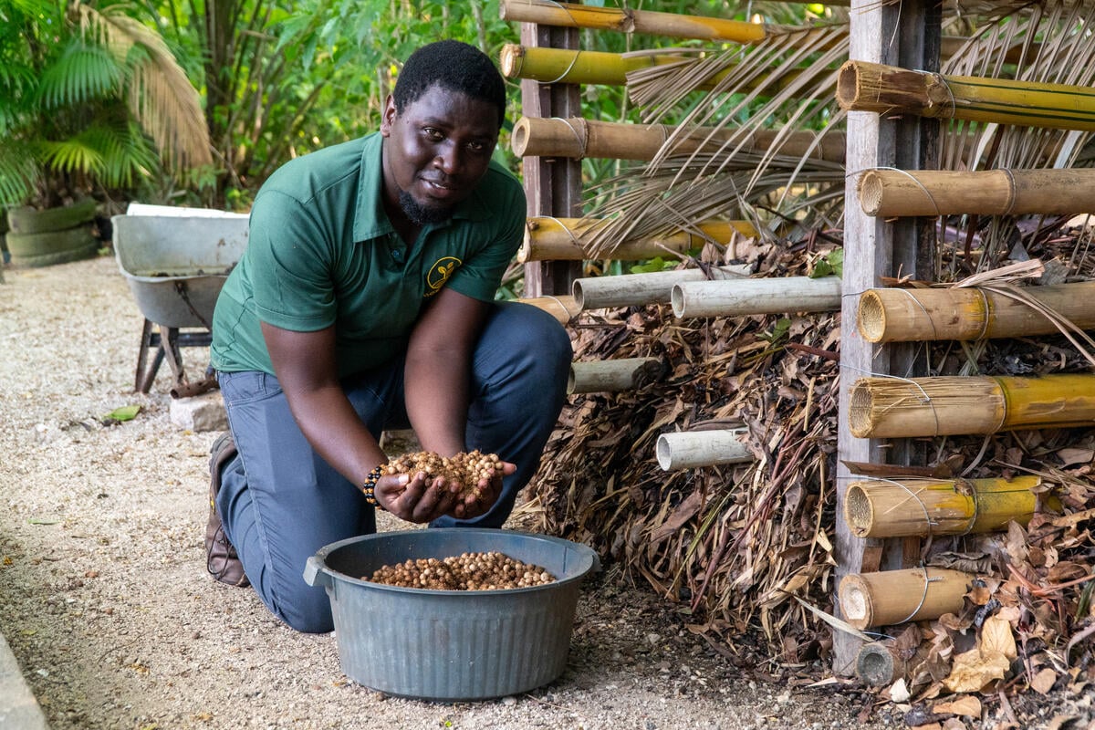 L'homme est agenouillé à côté d'un tas de bâtons et de branches à l'intérieur d'un engin. Il tient dans ses deux mains une sorte de baie séchée qu'il prélève dans un seau tout en regardant la caméra.