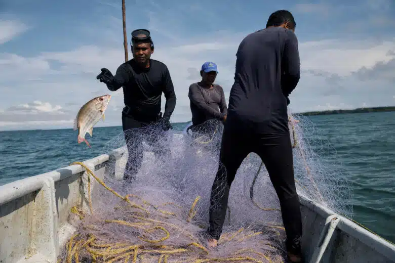 Three people stand in a small boat on the water. Two people stand on the right edge of the boat from the camera's perspective, which is inside the boat facing towards the front. They are hoisting a net into the boat from the water. The person on the left holds a fishing line with a fish attached to the end. 