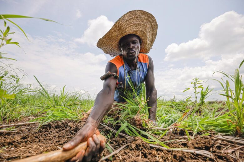 Un homme est à genoux devant la caméra, dans un champ. Il tend son bras droit devant lui pour placer un outil en bois dans la terre. Il semble qu'il le fasse de manière expressive, tout en parlant ou en sifflant.