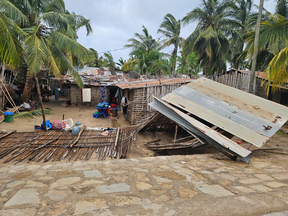 A fence and a corrugated roof lie on muddy ground with broken palm branches and people's belongings strewn over the yard following tropical Cyclone Chido in northern Mozambique.