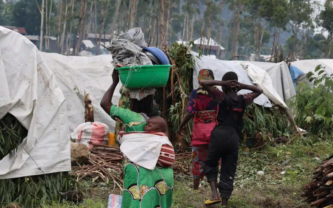 UNHCR gravely concerned by worsening violence and humanitarian crisis in eastern DR Congo